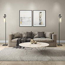 Load image into Gallery viewer, Henn&Hart FL0014 Modern farmhouse seeded floor lamp, One Size, Black