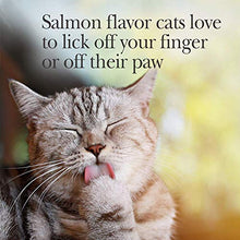 Load image into Gallery viewer, Nutri-Vet Pet-Ease Calming Paw Gel for Cats | Support for Cat Anxiety and Stress | Tasty & Easy to Give | 3 Ounce Tube, Salmon