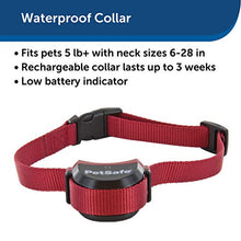 Load image into Gallery viewer, PetSafe Stubborn Dog Stay + Play Wireless Fence Receiver Collar, Waterproof and Rechargeable, Tone and Static Correction