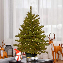 Load image into Gallery viewer, National Tree Company 'Feel Real' Artificial Christmas Tree For Entrances| Includes White Lights and Stand | Hampton Spruce - 3 ft