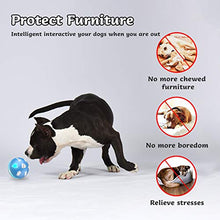 Load image into Gallery viewer, BENTOPAL Interactive Dog Toy Wicked Ball for Indoor Cats/Dogs with Motion Activated/USB Rechargeable