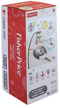 Load image into Gallery viewer, Fisher-Price My Little Snugabear Cradle 'n Swing
