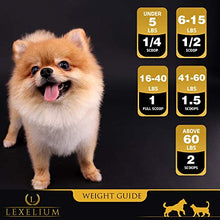 Load image into Gallery viewer, Lexelium Joint Support for Dogs and Cats | MSM + Glucosamine + Chondroitin + Turmeric | Helps with Arthritis and Fortifies Joints | 100% Natural Pet Supplement | 200 Grams