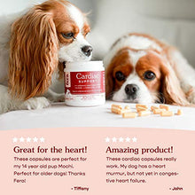 Load image into Gallery viewer, FERA PET ORGANICS Cardiac Support Cat and Dog Supplement with Taurine, L Carnitine, CoQ10, Vitamin E, and Hawthorn Berry, Cat and Dog Vitamins for Heart Health, 60 Capsules