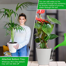 Load image into Gallery viewer, HOMENOTE 6" Bottom Watering Plant Pots, 6Pcs Self Watering Planters with Drainage Holes, Attached Saucer Reservoir and Watering Lip for Indoor Outdoor Flowers Plants Windowsill, White