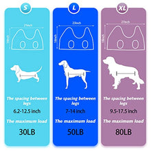 Load image into Gallery viewer, ATESON Pet Grooming Hammock for XL Large Dogs with Nail Clippers/Nail Trimmers/Grooming Scissors, Dog Grooming Harness for Nail Trimming, Pet Grooming Sling Helper