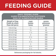 Load image into Gallery viewer, Hill's Science Diet Dry Dog Food, Adult 7+ for Senior Dogs, Small Bites, Chicken Meal, Barley & Brown Rice Recipe, 5 lb Bag