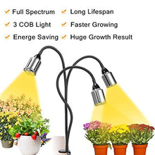 Load image into Gallery viewer, CWH&WEN Plant Grow Light, Grow Lamp Full Spectrum with Auto ON &Off Timer 3/9/12H for Indoor Plants, 3 Heads Grow Bulbs, USB+AC Adapter for Seedlings and Succulents