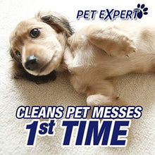 Load image into Gallery viewer, Resolve Ultra Pet Stain & Odor Remover Spray, 32oz