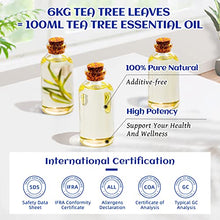 Load image into Gallery viewer, HIQILI Tea Tree Essential Oil (100 ML),100% Pure Organic Therapeutic Grade for Toenail Fungus,Hair Damage,Skin Problems,Add to Shampoo,Body Wash - 3.38 Fl. Oz