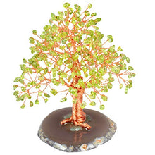 Load image into Gallery viewer, mookaitedecor Peridot Crystal Tree Tumbled Stones, Geode Agate Slices Base Money Tree Decoration for Wealth and Luck 5"-6"