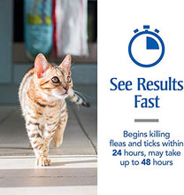Load image into Gallery viewer, PetArmor Plus for Cats, Flea & Tick Prevention for Cats (Over 1.5 lb), Includes 6 Month Supply of Topical Flea Treatments