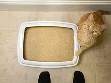 Load image into Gallery viewer, World's Best Cat Litter, Clumping Litter Formula, 28-Pounds