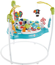 Load image into Gallery viewer, Fisher-Price Color Climbers Jumperoo