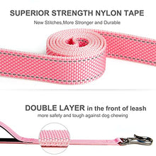 Load image into Gallery viewer, Fida 4 FT Heavy Duty Dog Leash with 2 Comfortable Padded Handles, Traffic Handle & Advanced Easy Snap Hook, Reflective Walking Lead for Large, Medium & Small Breed Dogs, Pink