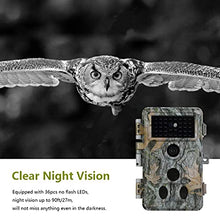 Load image into Gallery viewer, 2-Pack Game Trail Deer Cameras No Glow 90ft Night Vision 24MP Picture 1296P H.264 MP4 Video Motion Activated Waterproof 0.1S Trigger Speed Photo & Video Model for Hunting Wildlife or Home Surveillance