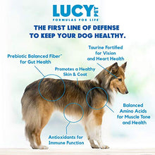 Load image into Gallery viewer, Lucy Pet Products Formulas for Life - Sensitive Stomach & Skin Dry Dog Food, All Breeds & Life Stages - Duck, Pumpkin, and Quinoa, 25 lb, Model:850657006500