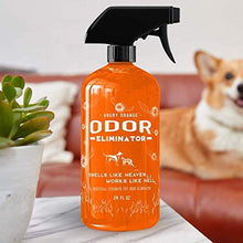 Load image into Gallery viewer, ANGRY ORANGE 24 oz & 1 Gallon (Refill) - Ready-to-Use Citrus Pet Odor Eliminator Pet Spray - Urine Remover and Carpet Deodorizer for Dogs and Cats
