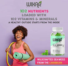 Load image into Gallery viewer, Wixar Naturals Sea Moss Gummies - Natural Irish Sea Moss and Bladderwrack with Burdock Gummy - 60 Gummies - Vegan - Thyroid, Healthy Skin, Keto Detox, Gut, Joint Support Alkaline Supplements