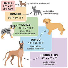 Load image into Gallery viewer, Furhaven Pet Dog Bed - Orthopedic Ultra Plush Faux Fur and Suede Traditional Sofa-Style Living Room Couch Pet Bed with Removable Cover for Dogs and Cats, Gray, Large