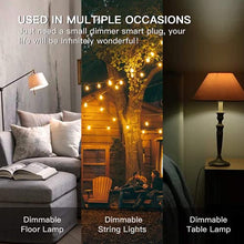Load image into Gallery viewer, TREATLIFE Smart Dimmer Plug Outdoor Smart Plug Works with Alexa and Google Home, Light Dimmer APP Remote Control, Max Power 400W, IP44 Waterproof for Dimmable Outdoor Lights, Floor Lamp, Table Lamp