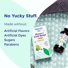 Load image into Gallery viewer, Hyland’s Naturals Baby Mucus and Cold Relief, Day & Night Value Pack, Infant And Baby Cold Medicine, Decongestant And Cough Relief, 8 Fl Oz