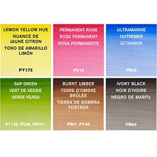 Load image into Gallery viewer, Winsor & Newton Cotman Water Colour Paint, Set of 6, 8ml Tubes