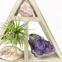 Load image into Gallery viewer, Tillandsia Air Plant and Purple Amethyst Crystal Healing Cluster/Terrarium Fairy Garden Stone + Kraft Gift Box