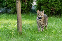 Load image into Gallery viewer, Cat Tracker RF Finder Longest Range up to 1600 ft lightest pet Safety Tracking Device only 0.28oz Small Pets Dog Girafus Pro-Track-tor Pet Tracker