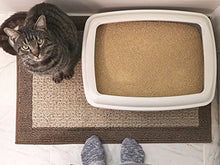 Load image into Gallery viewer, World's Best Cat Litter, Scented Clumping Litter Formula for Multiple Cats, 28-Pounds