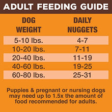 Load image into Gallery viewer, Primal Freeze Dried Dog Food Nuggets Beef Formula, Crafted in The USA Grain Free Raw Dog Food, 14 oz