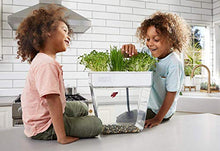 Load image into Gallery viewer, Back to the Roots Water Garden, Self-Cleaning Fish Tank That Grows Food, Mini Aquaponic Ecosystem (Great Gardening Gift & Family Project), 3 Gallons