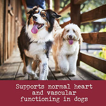 Load image into Gallery viewer, EverRoot Dog Supplement by Purina, Heart Health Chewable Tablets with Taurine & Green Lipped Mussels - 4.02 oz. Canister