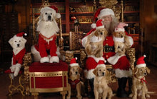 Load image into Gallery viewer, Santa Buddies: The Legend Of Santa Paws