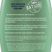 Load image into Gallery viewer, Aveeno, Fresh Greens Blend Sulfate-Free Conditioner with Rosemary, Peppermint & Cucumber to Thicken & Nourish, Clarifying & Volumizing for Thin or Fine Hair, Paraben-Free, 12oz