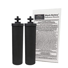Load image into Gallery viewer, Royal Berkey Gravity-Fed Water Filter with 2 Black Berkey Purification Elements