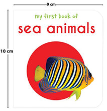 Load image into Gallery viewer, My First Library : Boxset of 10 Board Books for Kids
