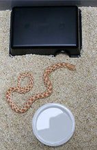 Load image into Gallery viewer, OMEM Reptile Hideout Box, Hideout Caves, Small Animal Hideaway (M)