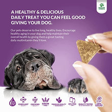 Load image into Gallery viewer, Doggie Dailies 5 in 1 Multivitamin for Dogs, 225 Soft Chews, Dog Multivitamin for Skin and Coat Health, Joint Health, Improved Digestion, Antioxidants, Support a Healthy Immune System