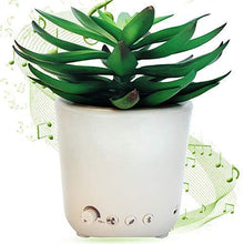 Load image into Gallery viewer, Sleep Plant - Sound Machine - Fan Sounds - White Noise - Nature Sounds