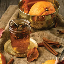 Load image into Gallery viewer, Harney & Sons Hot Cinnamon Spice Tea Tin - Black Tea with Orange & Sweet Clove - 2.67 Ounces, 30 Sachets