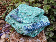 Load image into Gallery viewer, StarStuff.Rocks Mineral, Crystal, and Rock Collection: Authentic Minerals from Africa (Blue Kyanite in Fuschite)