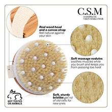 Load image into Gallery viewer, CSM Body Brush For Beautiful Skin - Solid Wood Frame & Boar Hair Exfoliating Brush To Exfoliate & Soften Skin, Improve Circulation, Stop Ingrown Hairs, Reduce Acne and Cellulite
