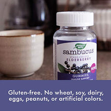 Load image into Gallery viewer, Nature's Way Sambucus Elderberry Gummies with Vitamin C & Zinc, Gluten Free, Vegetarian, 60 Gummies