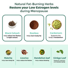 Load image into Gallery viewer, VoomVaya MenoSlim - Menopause Weight Supplement for Women, Herbal Tea with Rooibos, Cardamom, Black Cohosh, Licorice for Hot Flashes, Bloating, Night Sweat Relief - 30 Tea Bags - Acai Berry