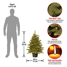 Load image into Gallery viewer, National Tree Company 'Feel Real' Artificial Christmas Tree For Entrances| Includes White Lights and Stand | Hampton Spruce - 3 ft