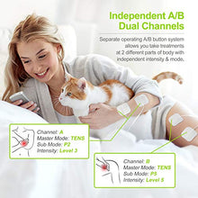 Load image into Gallery viewer, AUVON Dual Channel TENS EMS Unit 24 Modes Muscle Stimulator for Pain Relief, Rechargeable TENS Machine Massager with 12 Pads, ABS Pads Holder, USB Charger and Dust-Proof Storage Bag