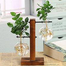 Load image into Gallery viewer, Glass Planter Bulb Vase, Desktop Plant Terrarium Kit with Retro Solid Wooden Stand for Hydroponics Plants Home Garden Office Wedding Decor (Style B)
