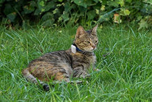 Load image into Gallery viewer, Cat Tracker RF Finder Longest Range up to 1600 ft lightest pet Safety Tracking Device only 0.28oz Small Pets Dog Girafus Pro-Track-tor Pet Tracker