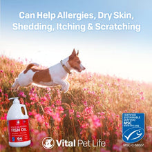 Load image into Gallery viewer, Fish Oil for Dogs, Salmon, Pollock, Omega 3 EPA DHA Liquid Food Supplement for Pets, All Natural, Supports Healthy Skin Coat & Joints, Natural Allergy & Inflammation Defense, 64 oz